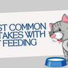 Most Common Mistakes with Cat Feeding