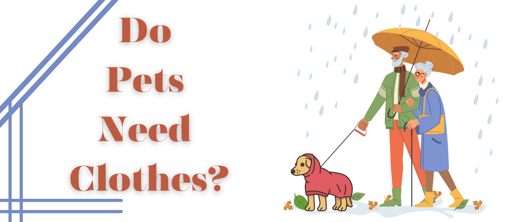 Do Pets Need Clothes?