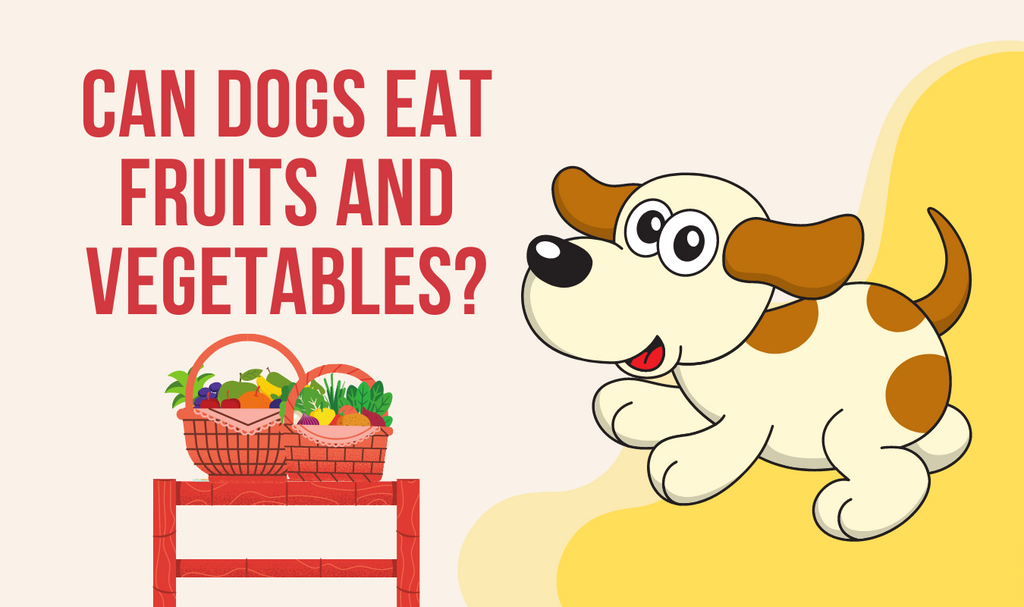 Can Dogs Eat Fruits and Vegetables?