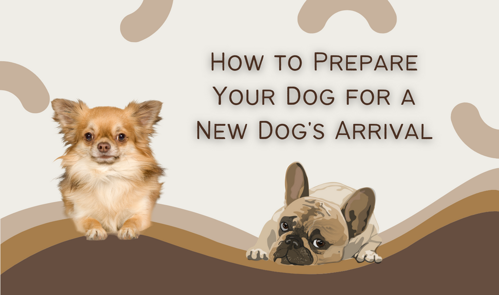 How to Prepare Your Dog for a New Dog's Arrival