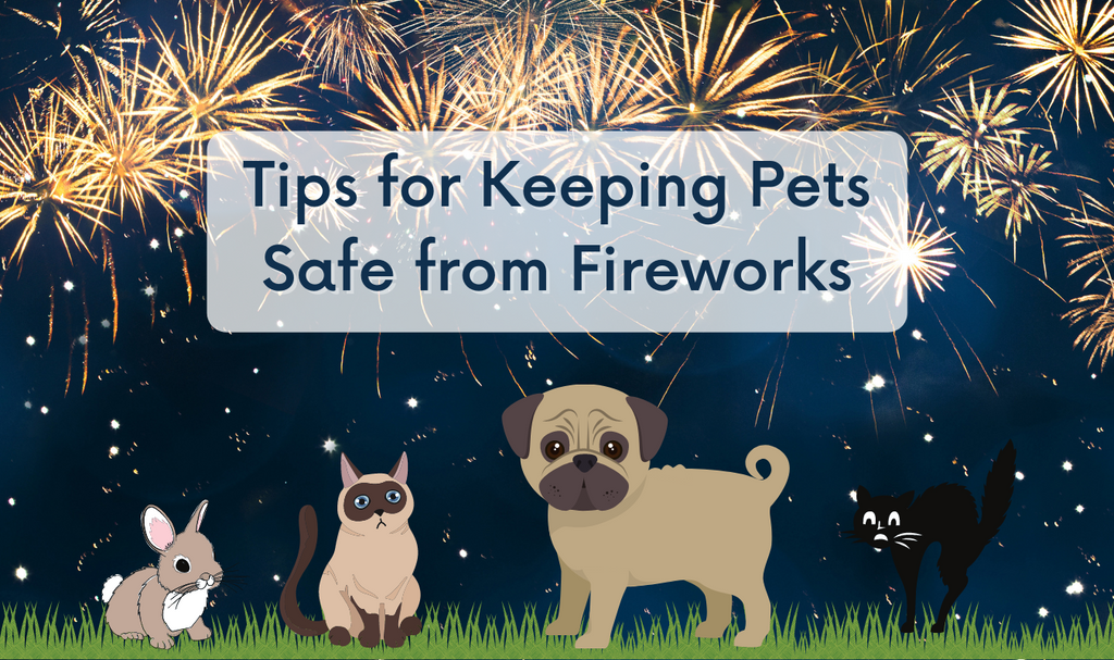 Tips for Keeping Pets Safe from Fireworks